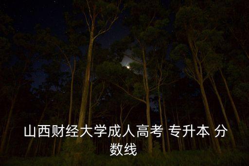  山西財(cái)經(jīng)大學(xué)成人高考 專升本 分?jǐn)?shù)線