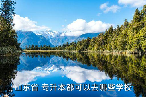 山東省 專升本都可以去哪些學(xué)校