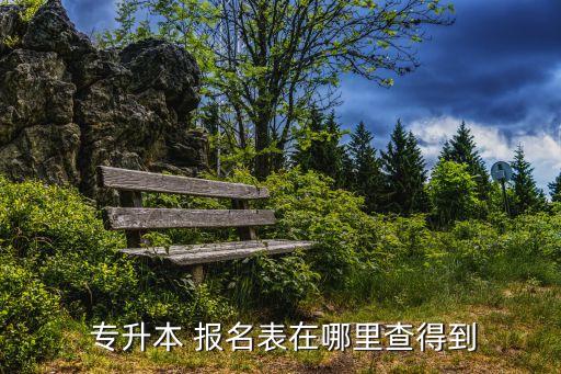  專升本 報名表在哪里查得到
