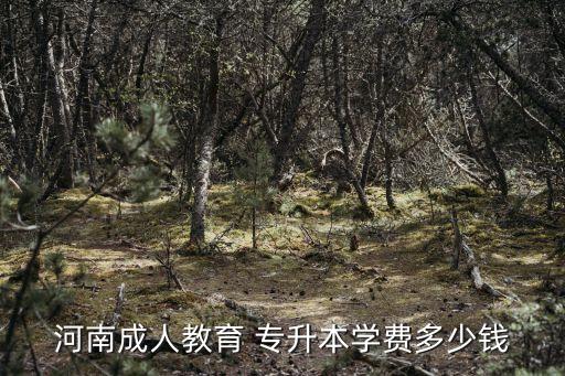 河南成人教育 專升本學(xué)費(fèi)多少錢