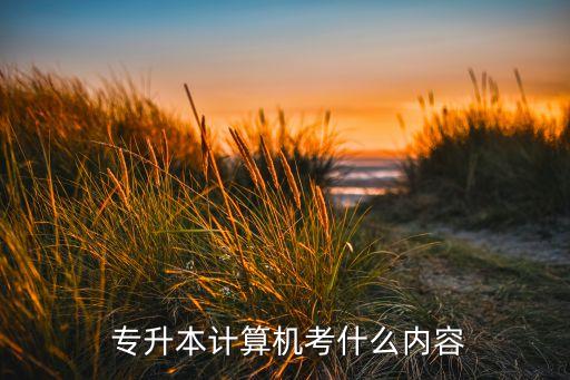  專升本計(jì)算機(jī)考什么內(nèi)容