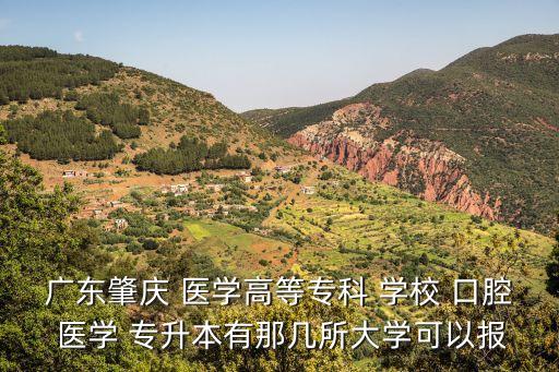 廣東肇慶 醫(yī)學(xué)高等專科 學(xué)校 口腔 醫(yī)學(xué) 專升本有那幾所大學(xué)可以報(bào)
