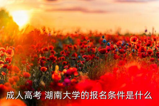 專(zhuān)升本自考可以報(bào)湖南大學(xué)么