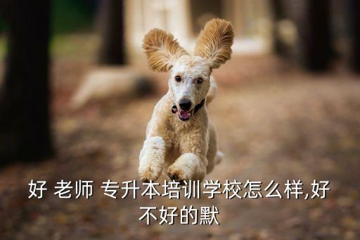 好 老師 專(zhuān)升本培訓(xùn)學(xué)校怎么樣,好不好的默