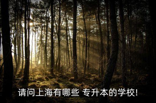 請(qǐng)問(wèn)上海有哪些 專(zhuān)升本的學(xué)校!