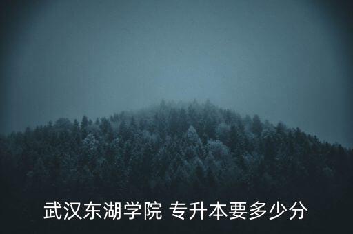 武漢東湖學(xué)院 專升本要多少分