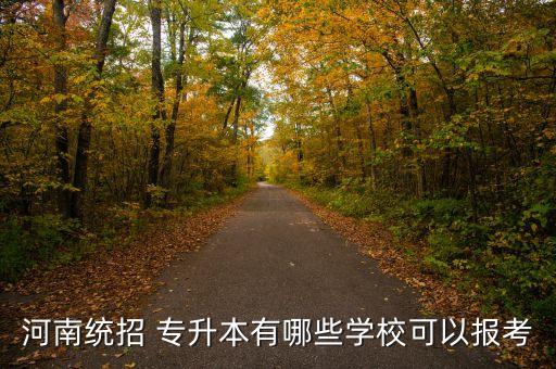 河南統(tǒng)招 專升本有哪些學(xué)?？梢詧?bào)考