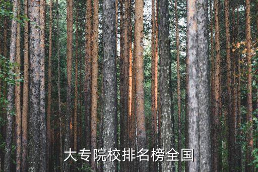大專院校排名榜全國