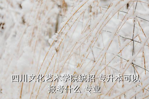  四川文化藝術(shù)學院統(tǒng)招 專升本可以報考什么 專業(yè)