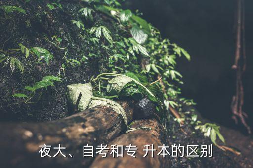 夜大、自考和專 升本的區(qū)別
