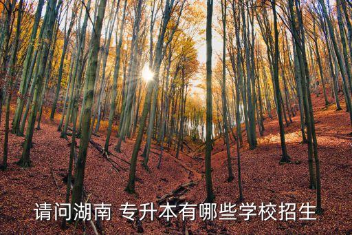 請(qǐng)問(wèn)湖南 專升本有哪些學(xué)校招生