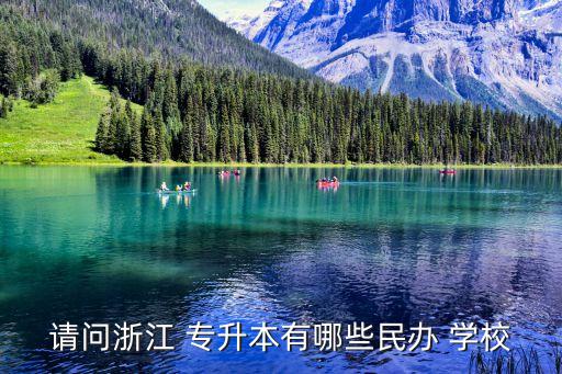 請問浙江 專升本有哪些民辦 學(xué)校