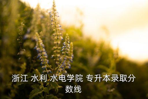 浙江 水利 水電學(xué)院 專(zhuān)升本錄取分?jǐn)?shù)線