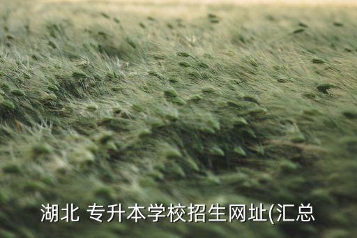 湖北 專升本學校招生網(wǎng)址(匯總