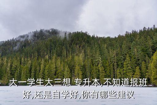 大一學(xué)生大三想 專升本,不知道報班好,還是自學(xué)好,你有哪些建議