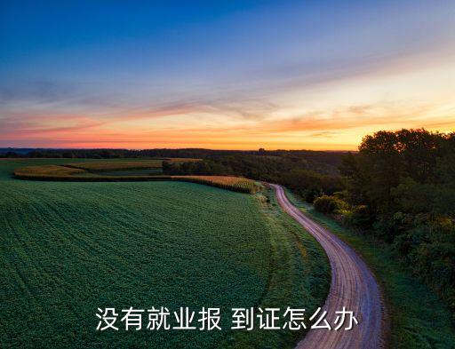 沒(méi)有就業(yè)報(bào) 到證怎么辦