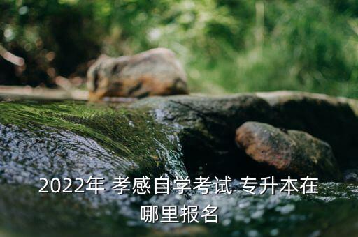 孝感醫(yī)學(xué)院可以專(zhuān)升本,西安醫(yī)學(xué)院專(zhuān)升本分?jǐn)?shù)線