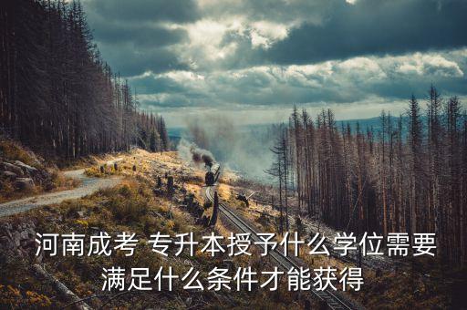  河南成考 專升本授予什么學位需要滿足什么條件才能獲得