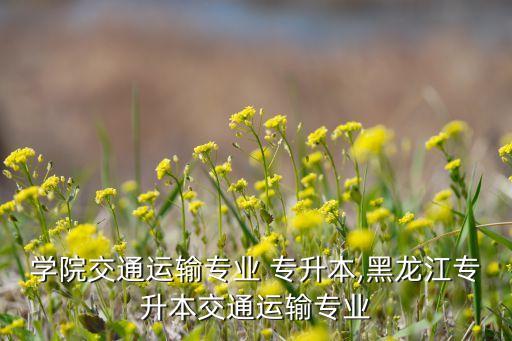 誠(chéng)毅學(xué)院交通運(yùn)輸專業(yè) 專升本,黑龍江專升本交通運(yùn)輸專業(yè)
