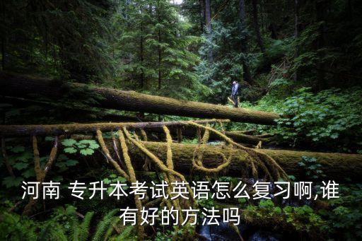 河南 專升本考試英語怎么復(fù)習(xí)啊,誰有好的方法嗎