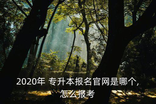 專(zhuān)升本官方網(wǎng)址
