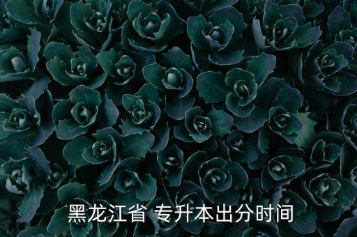 黑龍江2017專升本成績(jī)查詢,2022年黑龍江專升本成績(jī)查詢時(shí)間
