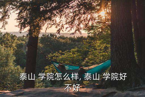  泰山 學院怎么樣, 泰山 學院好不好