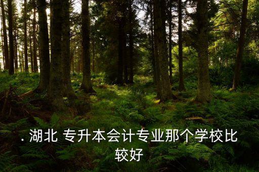 . 湖北 專升本會(huì)計(jì)專業(yè)那個(gè)學(xué)校比較好