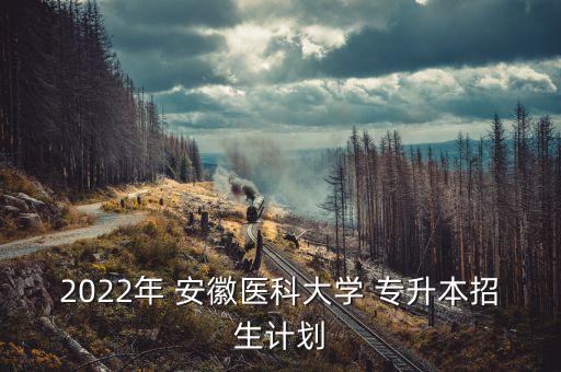 安徽專升本醫(yī)學院校