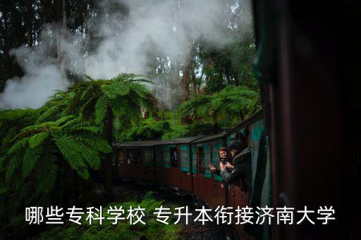 哪些?？茖W(xué)校 專升本銜接濟(jì)南大學(xué)