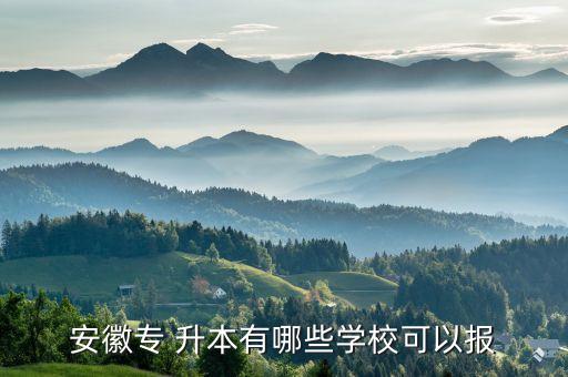 安大傳媒藝專升本,安大專升本錄取分數線多少