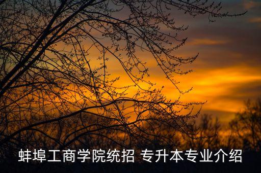蚌埠工商學(xué)院統(tǒng)招 專升本專業(yè)介紹