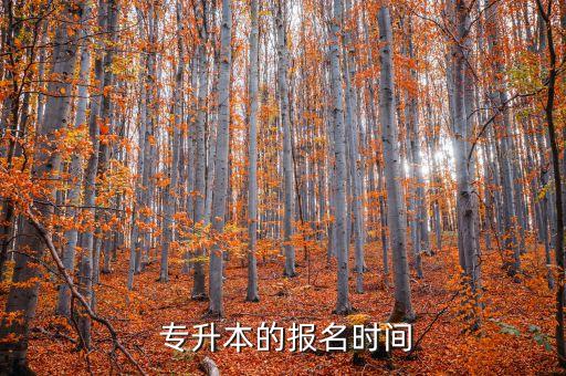  專升本的報(bào)名時(shí)間