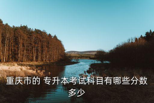 重慶市的 專升本考試科目有哪些分數(shù)多少