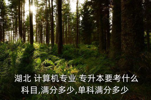  湖北 計(jì)算機(jī)專業(yè) 專升本要考什么科目,滿分多少,單科滿分多少