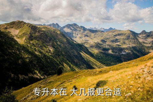  專升本在 大幾報更合適