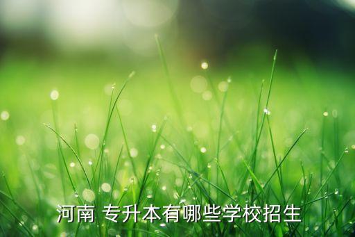 河南的大學(xué)可以專(zhuān)升本,河南科技職業(yè)大學(xué)專(zhuān)升本