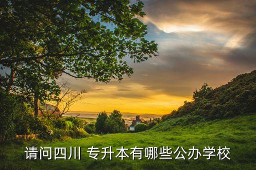 請(qǐng)問四川 專升本有哪些公辦學(xué)校