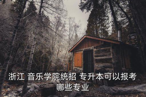 專(zhuān)升本音樂(lè)類(lèi)學(xué)校,福建專(zhuān)升本音樂(lè)類(lèi)有什么學(xué)校