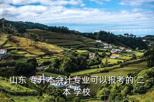 山東 專升本會計(jì)專業(yè)可以報(bào)考的 二本 學(xué)校