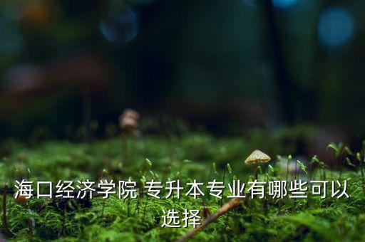 ?？诮?jīng)濟(jì)學(xué)院 專升本專業(yè)有哪些可以選擇