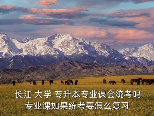  長江 大學(xué) 專升本專業(yè)課會(huì)統(tǒng)考嗎專業(yè)課如果統(tǒng)考要怎么復(fù)習(xí)