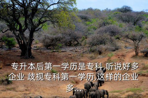  專升本后第一學(xué)歷是?？?聽說好多企業(yè) 歧視?？频谝粚W(xué)歷,這樣的企業(yè)多...