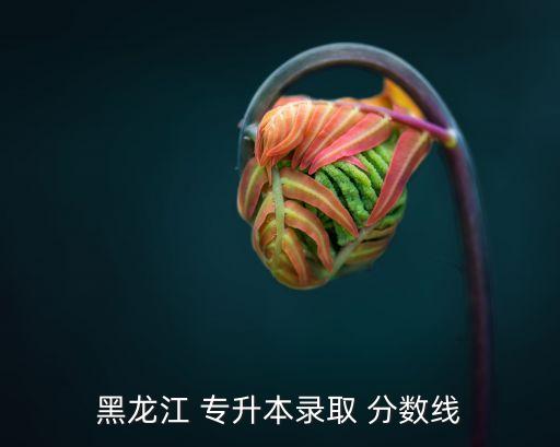 黑龍江 專升本錄取 分?jǐn)?shù)線