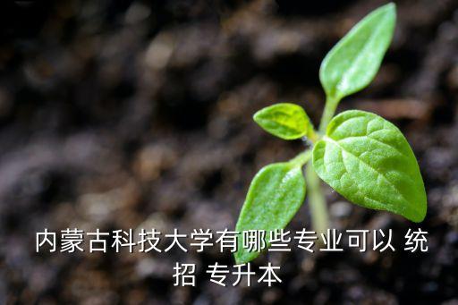  內(nèi)蒙古科技大學(xué)有哪些專業(yè)可以 統(tǒng)招 專升本