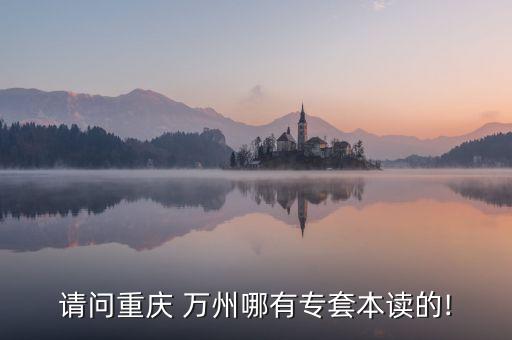 萬(wàn)州哪兒有專(zhuān)升本,重慶萬(wàn)州好老師專(zhuān)升本