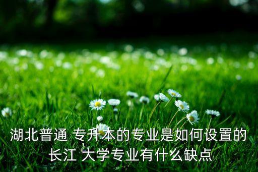 湖北普通 專升本的專業(yè)是如何設(shè)置的 長(zhǎng)江 大學(xué)專業(yè)有什么缺點(diǎn)