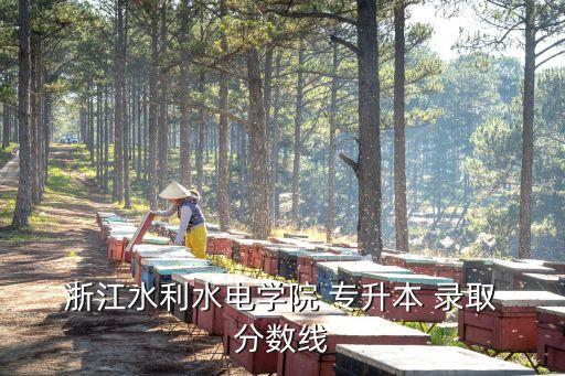  浙江水利水電學院 專升本 錄取 分數(shù)線