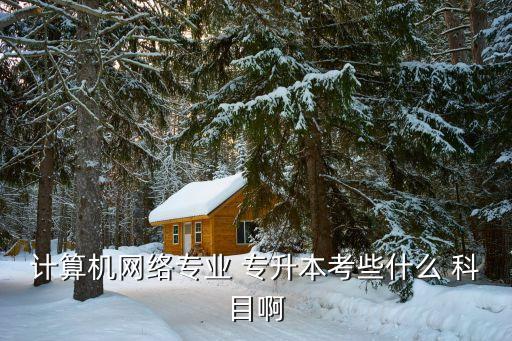 同濟(jì)大學(xué)專升本科目,上海同濟(jì)大學(xué)專升本招生簡(jiǎn)章
