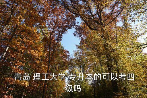  青島 理工大學(xué) 專升本的可以考四級(jí)嗎